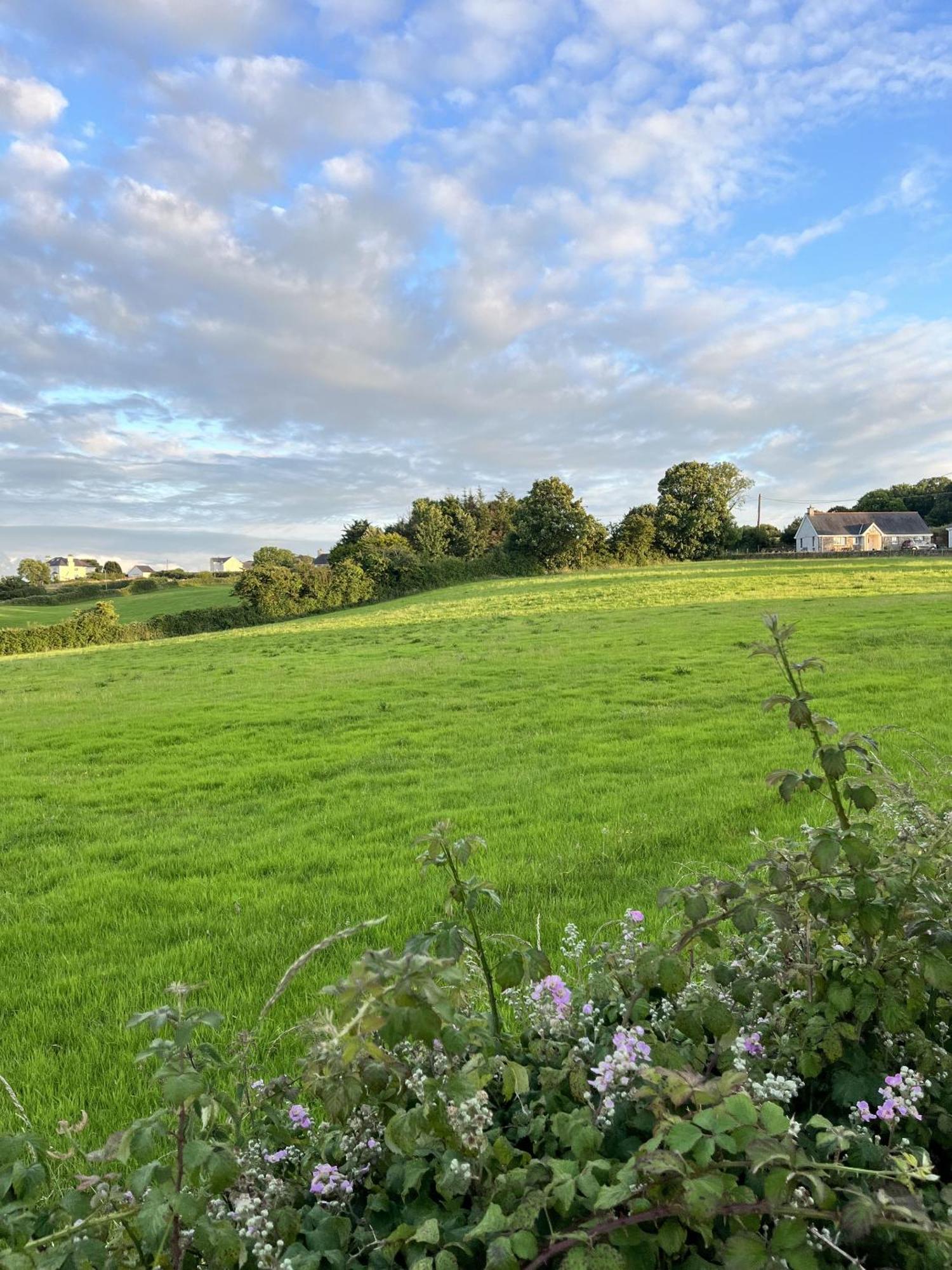 Ty Dderw Country Inn Moelfre Bagian luar foto